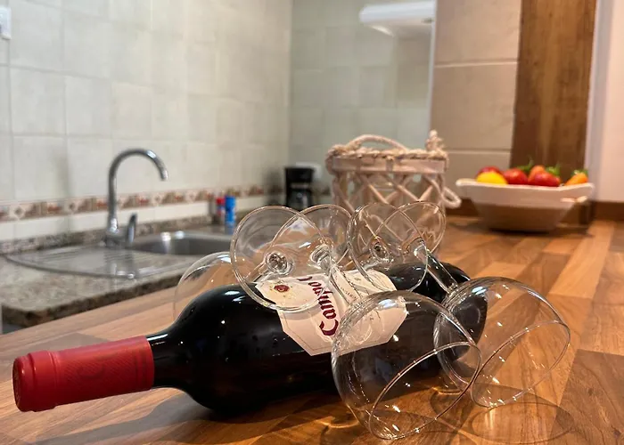 Apartamento Gaviotas *